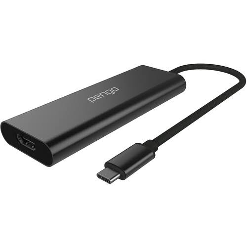 HDMI to USB-C 4K Grabber P493
