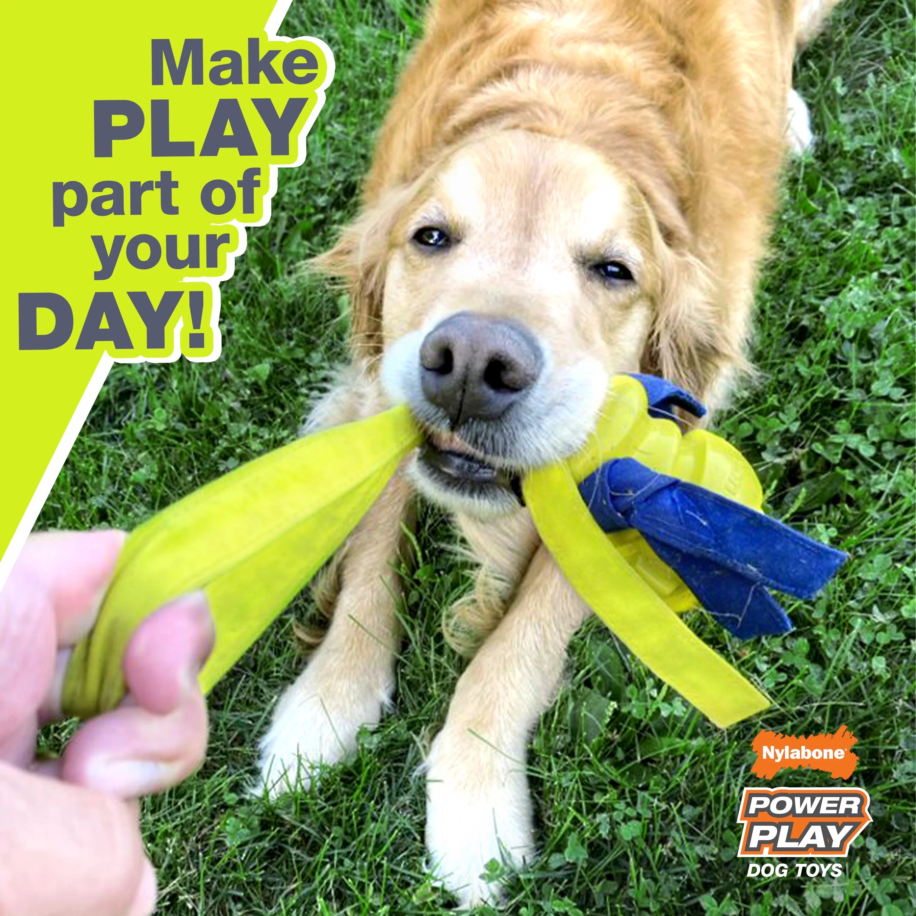 Tennis Play 'n Fetch Interactive Dog Toy K8707