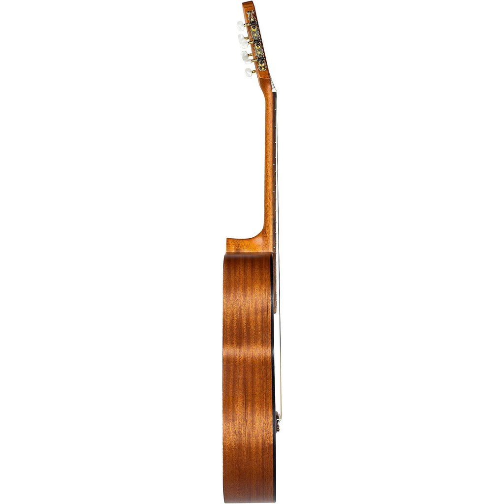 Classical Acoustic Guitar L24373