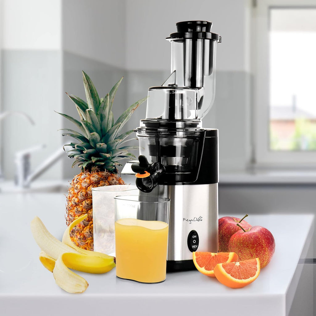 Chrome Silver Slow Juicer P371133