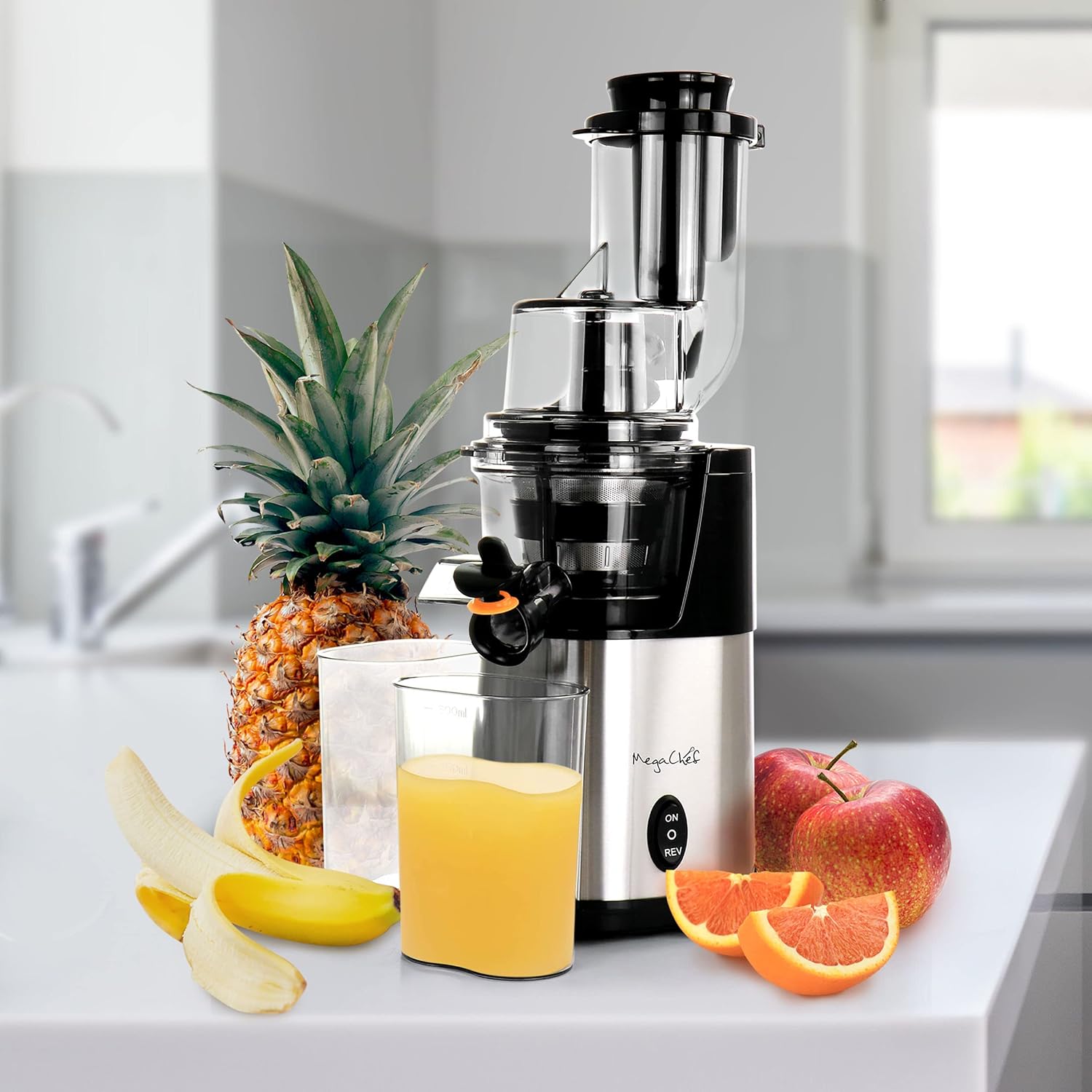 Chrome Silver Slow Juicer P371133