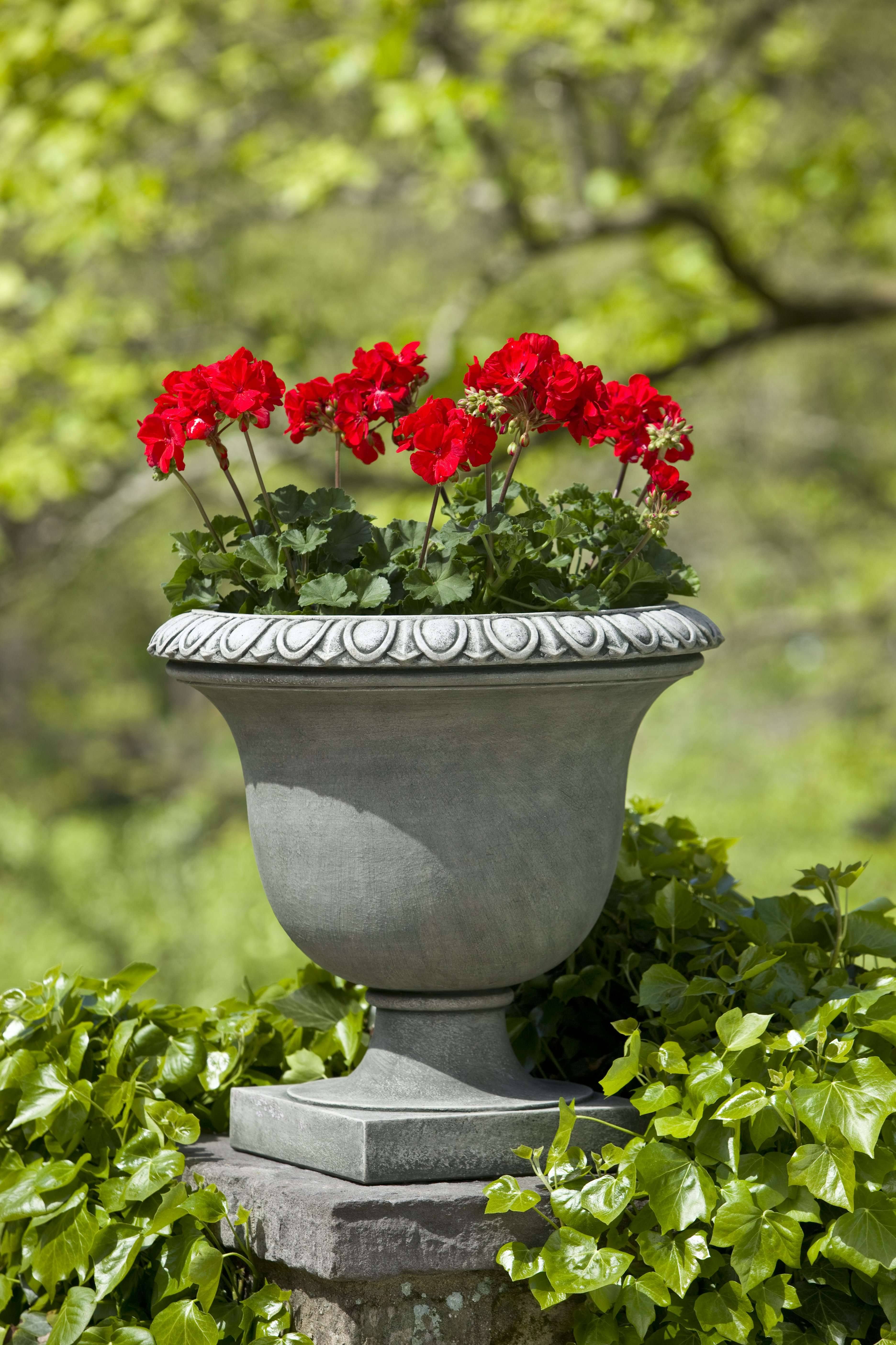 Brown Stone Urn W665942