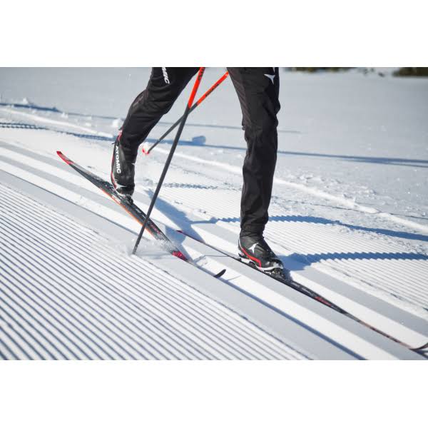 XC Skis A79270