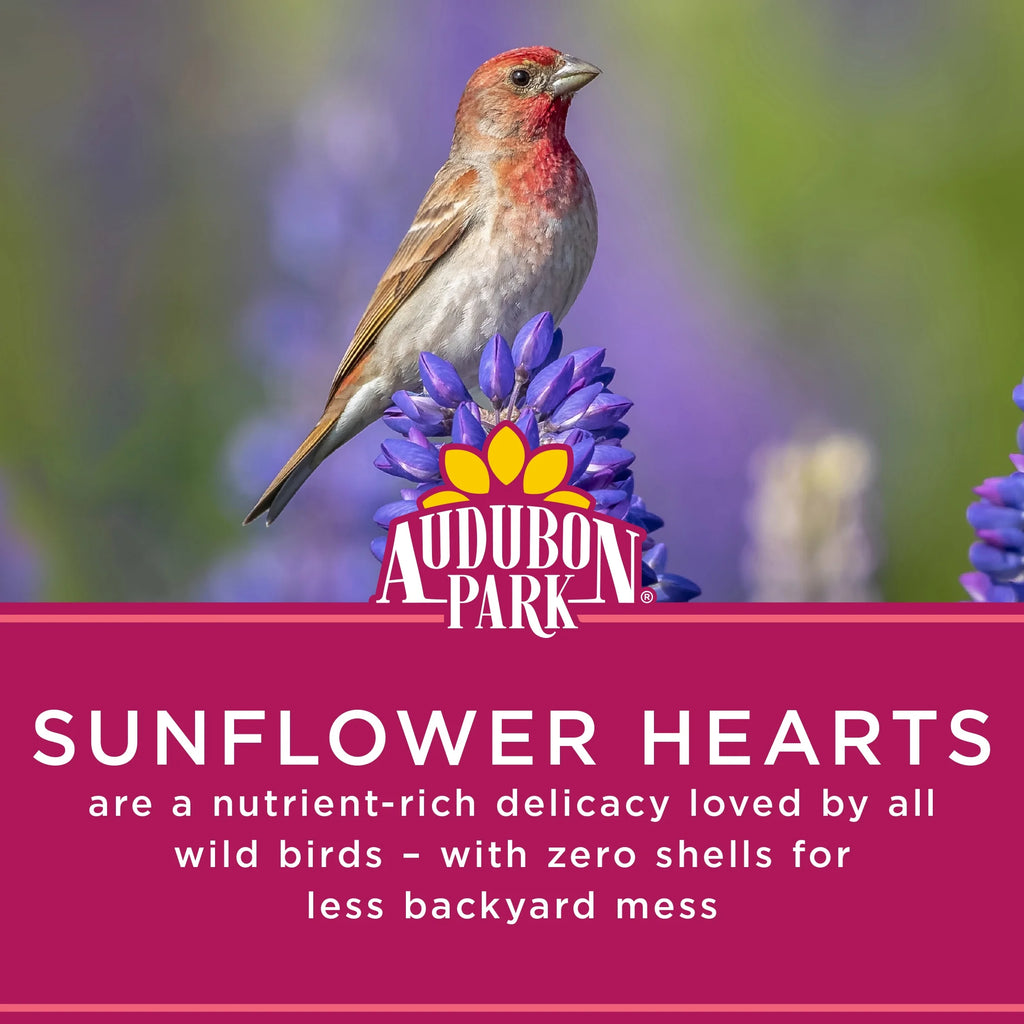 Sunflower Hearts Wild Bird Food, 15 lbs. D91395