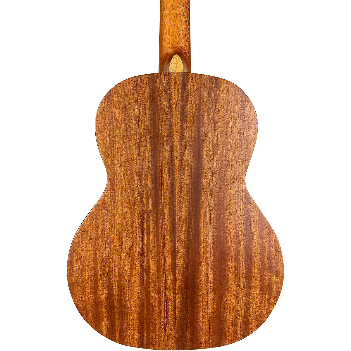 Classical Acoustic Guitar L24373