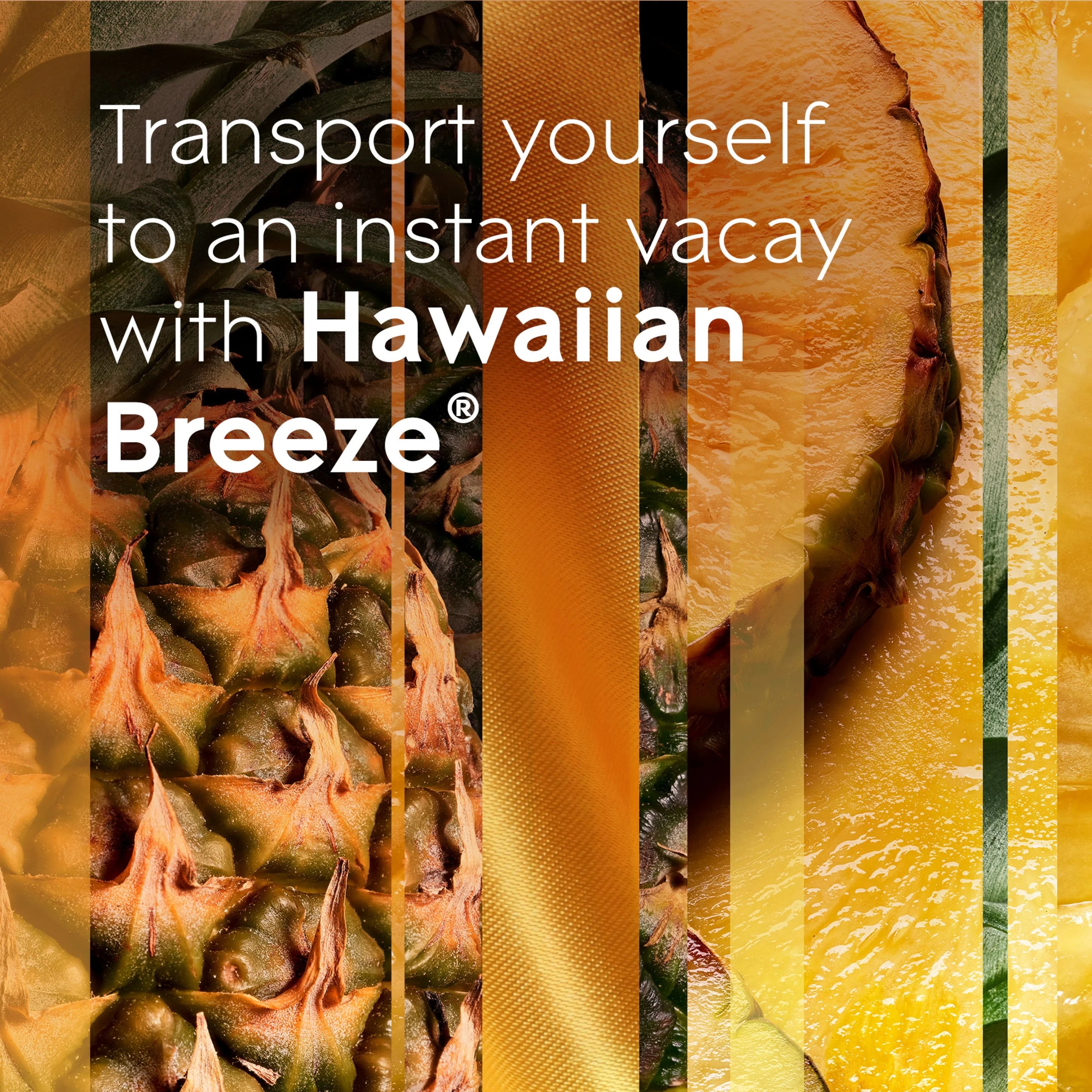 Hawaiian Breeze Automatic Spray Refills Air Freshener 6.2 oz 2 Count Z8877