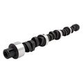 Hydraulic Flat Tappet Camshaft Z139