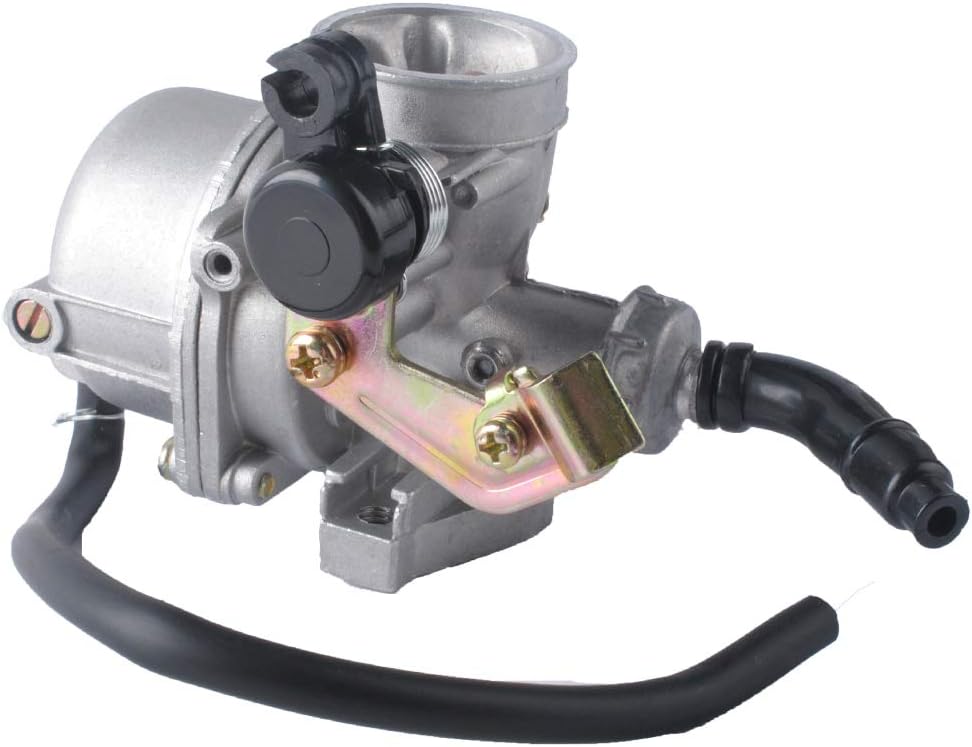 Carburetor with Fuel Filter Q801084
