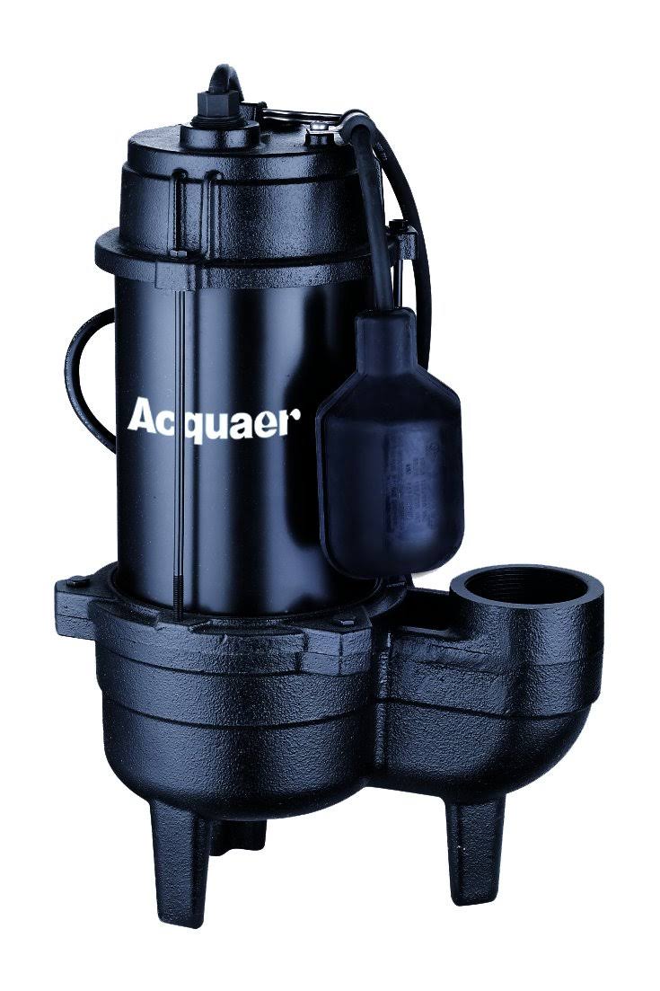 1/2 HP Cast Iron Sewage Pump Z572275