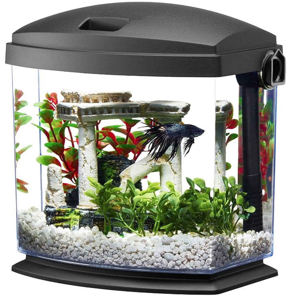 1 Gallon Betta Bow Aquarium B9408