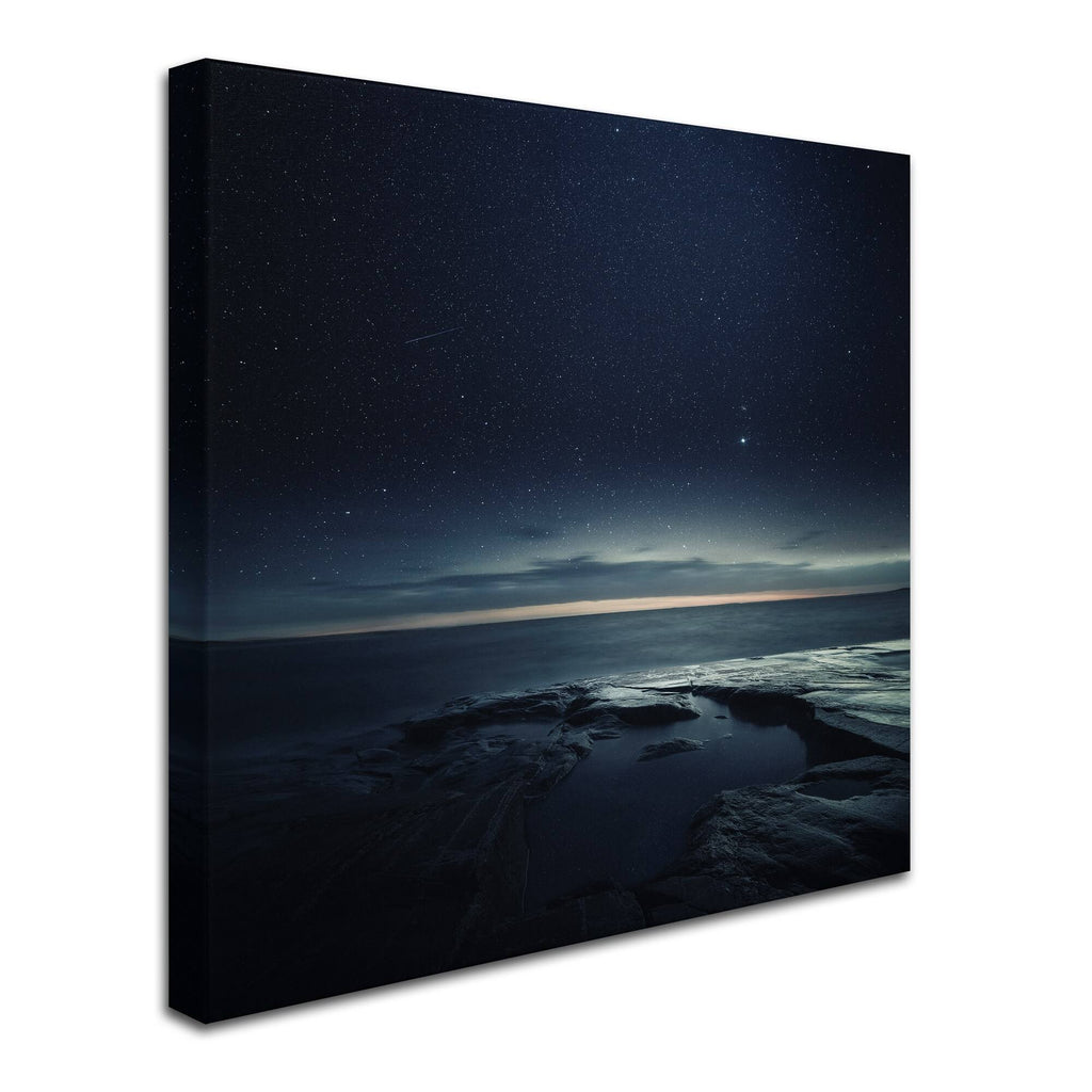 Night Sky Canvas Art P2543