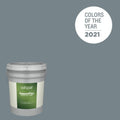 Academy Gray Exterior Paint 5-Gallon R764222