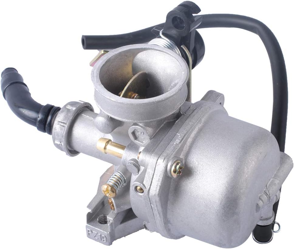 Carburetor with Fuel Filter Q801084