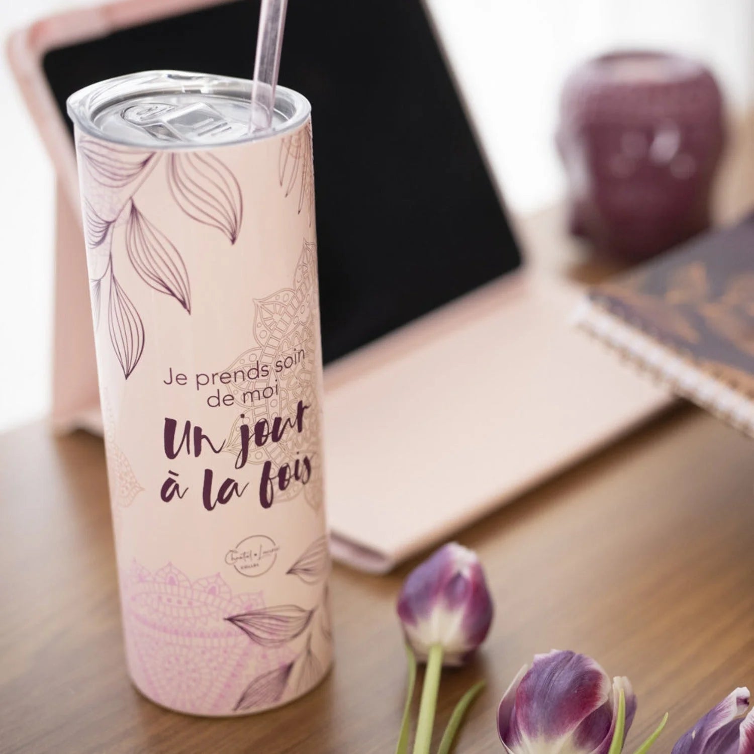 Insulated Stainless Steel Bottle with Straw, 600 ml A251096