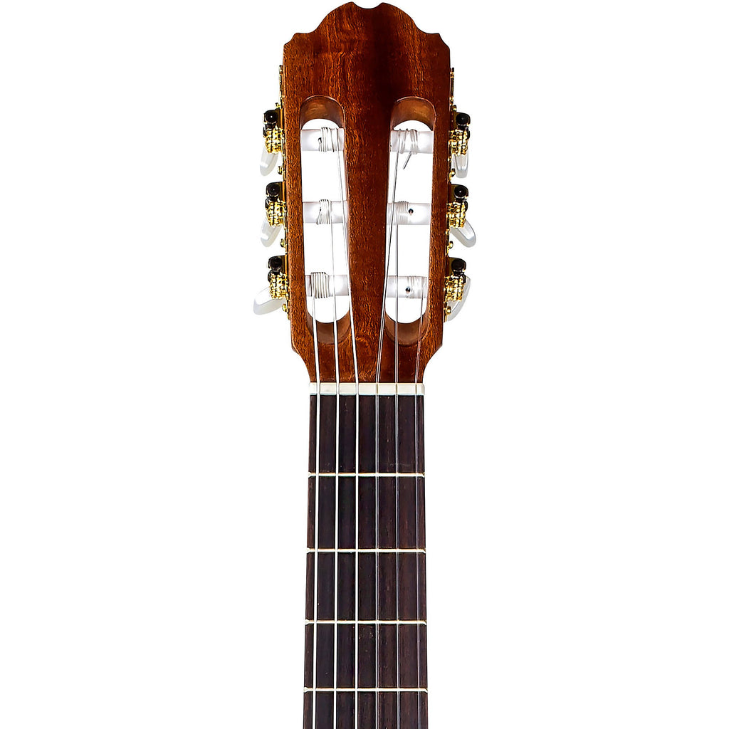 Classical Acoustic Guitar L24373