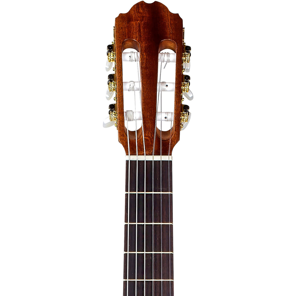 Classical Acoustic Guitar L24373