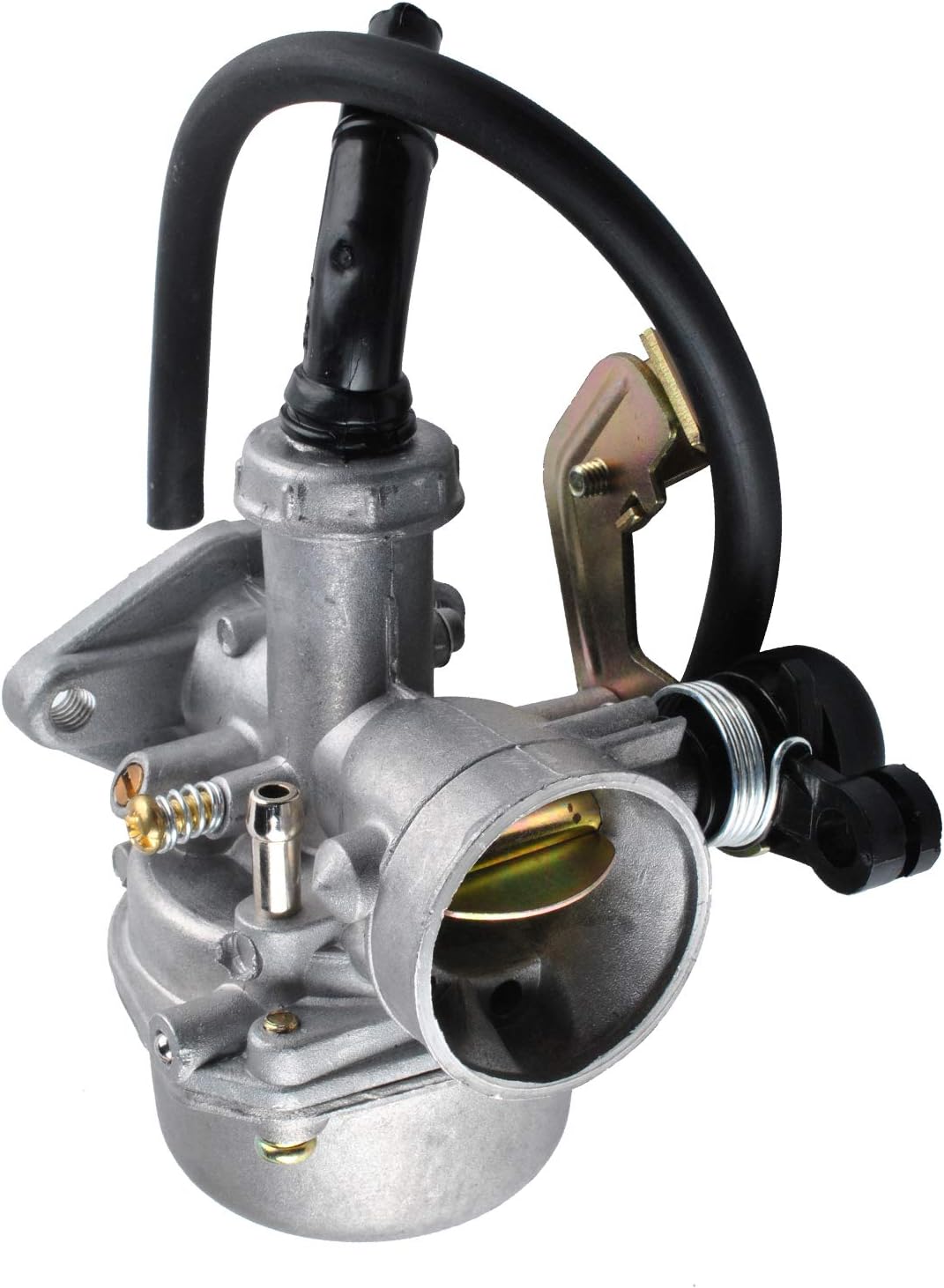 Carburetor with Fuel Filter Q801084