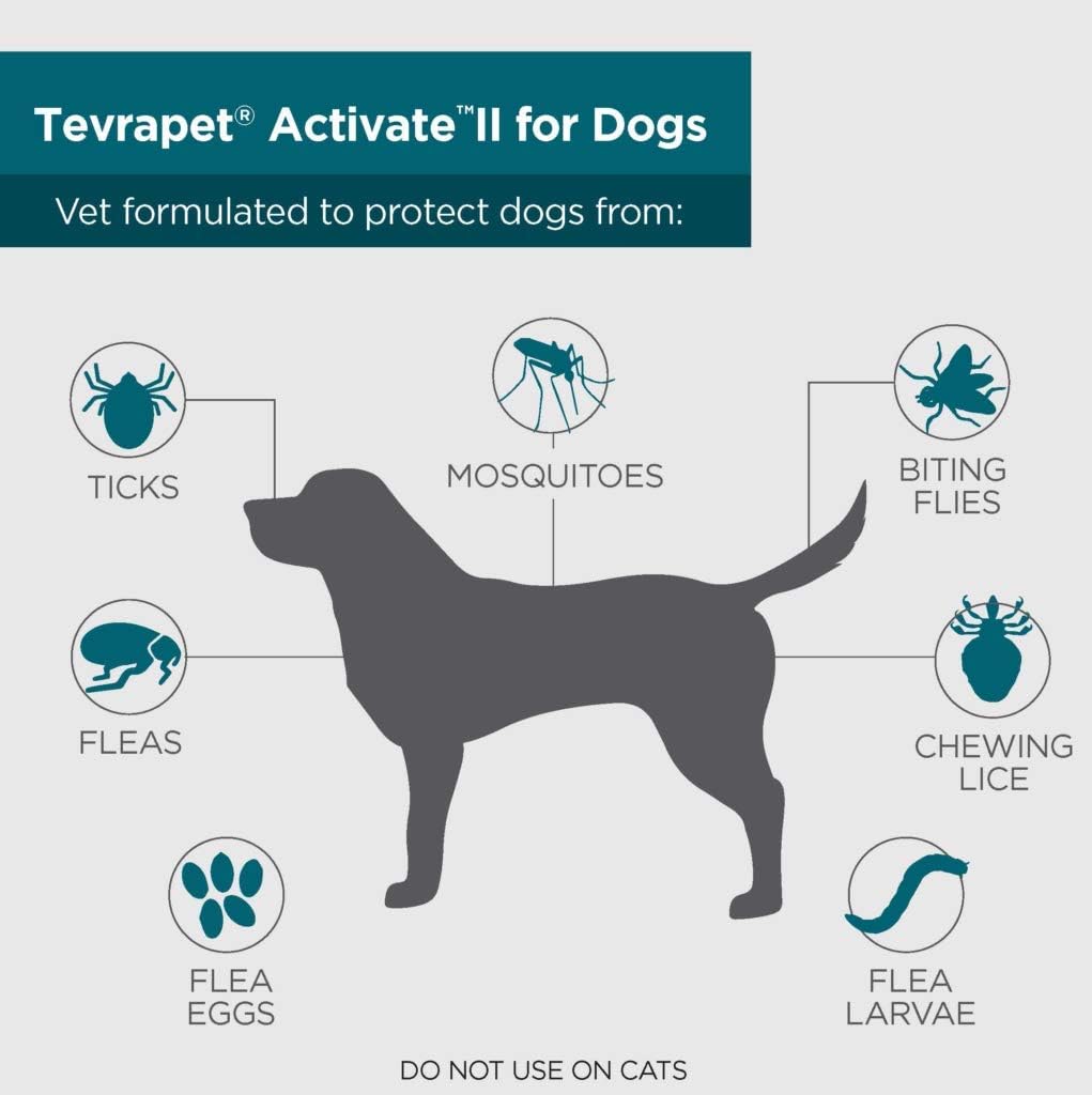 Flea and Tick Prevention for Dogs, Extra Large 55+ Lbs, 8 Monthly Doses, Clear Pack of 2 O749262