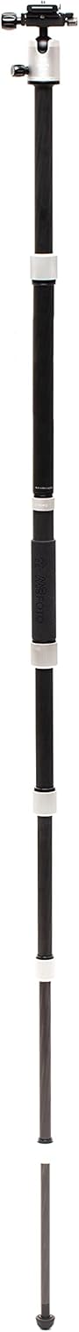Silver 1 Series Carbon Fiber Travel Tripod with Ballhead and Monopod P787