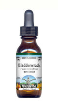 Mint Flavored Glycerite Liquid Extract, 1 fl oz, 2-Pack A7198
