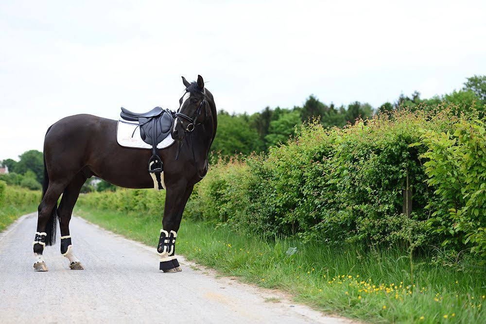 Saddle Pad C9121