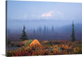 Canvas Wall Art - 24x16 F77027