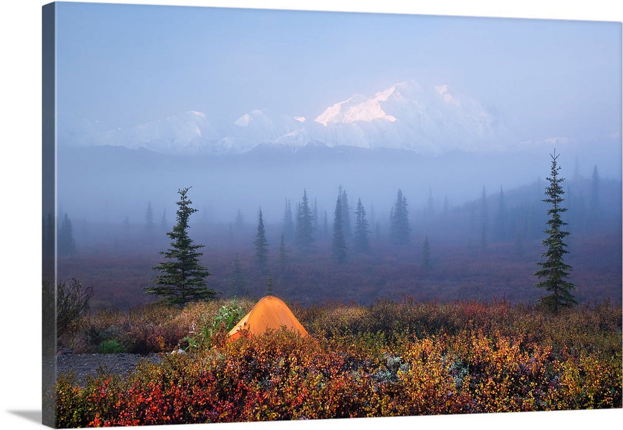 Canvas Wall Art - 24x16 F77027
