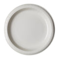 White Disposable Plate K66923