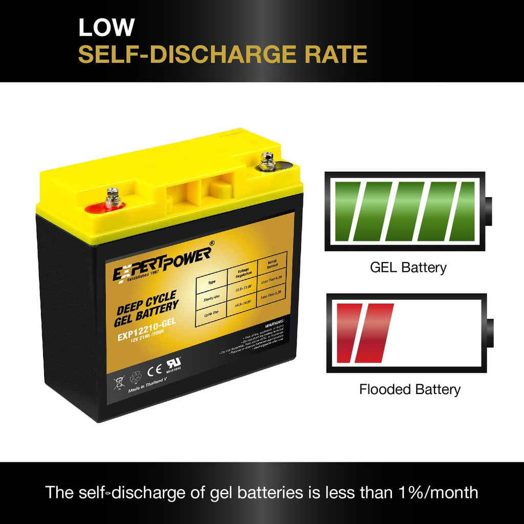 12V 21AH Gel Deep Cycle Battery Pack of 2 J31285