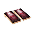 2 x 4 Metal Cornhole Board Set X4169