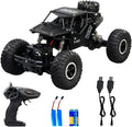 1:16 Scale 4WD 2.4 GHz Remote Control Car with 2 Rechargeable Batteries (Blue) Z120052