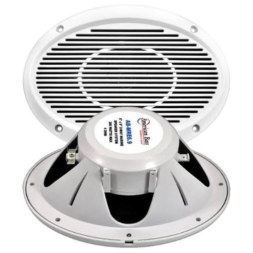 6 x 9 in. 300 Watt Max 2-Way Marine Speaker Z633368