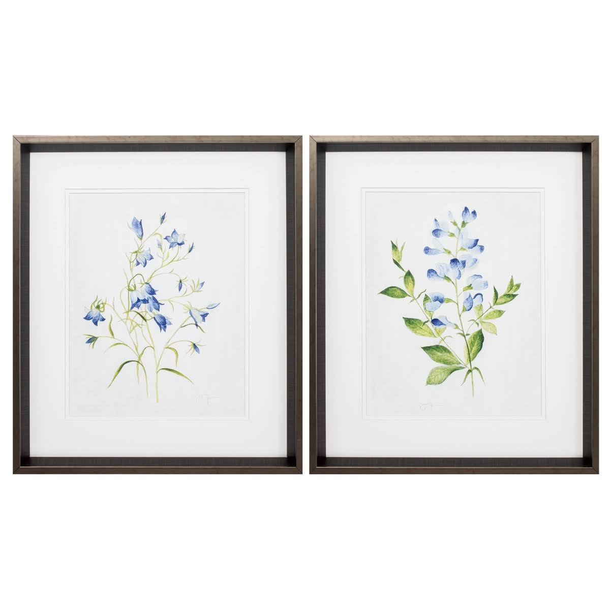Blue Botanical S/2 C351