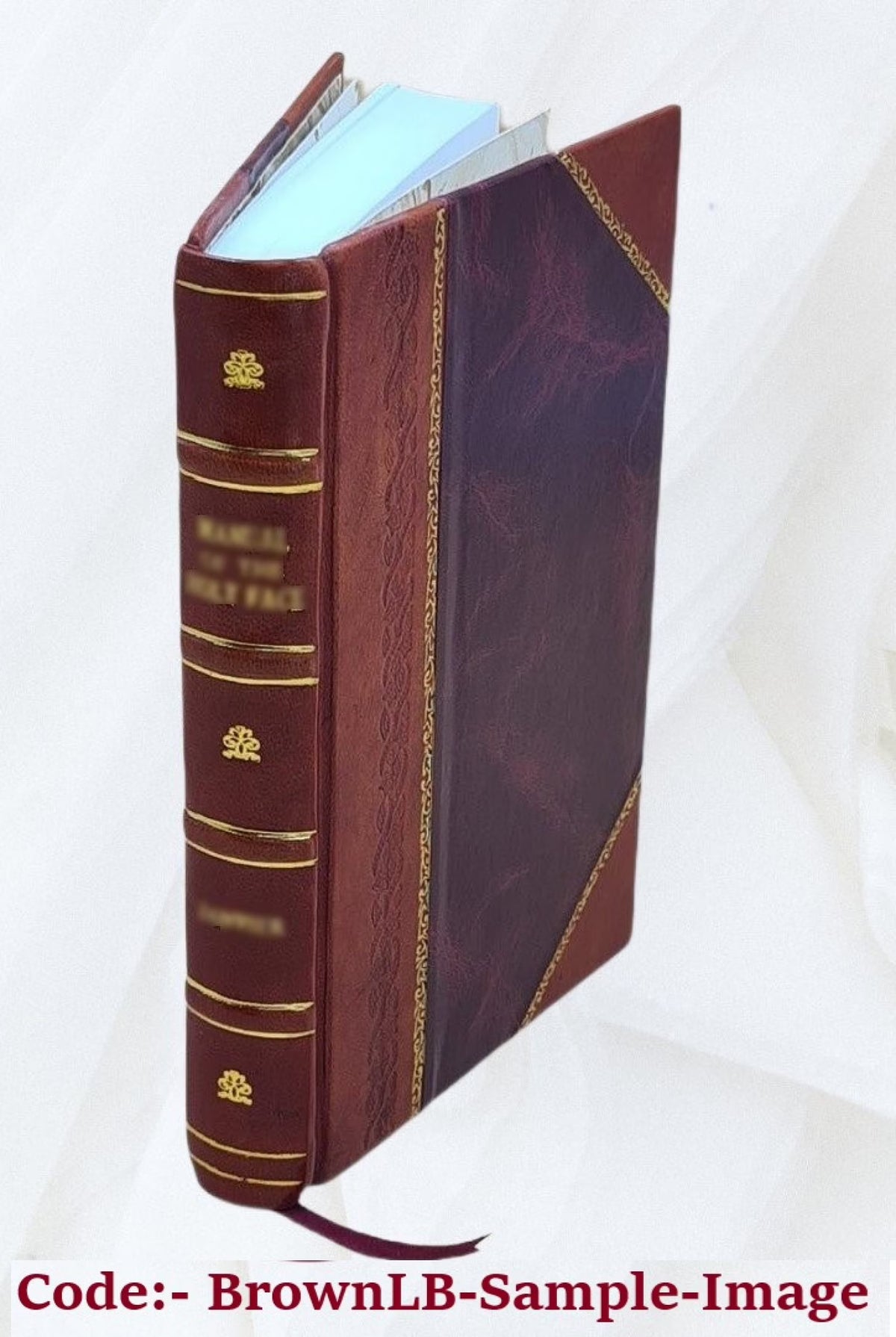 Leather Bound Book H420