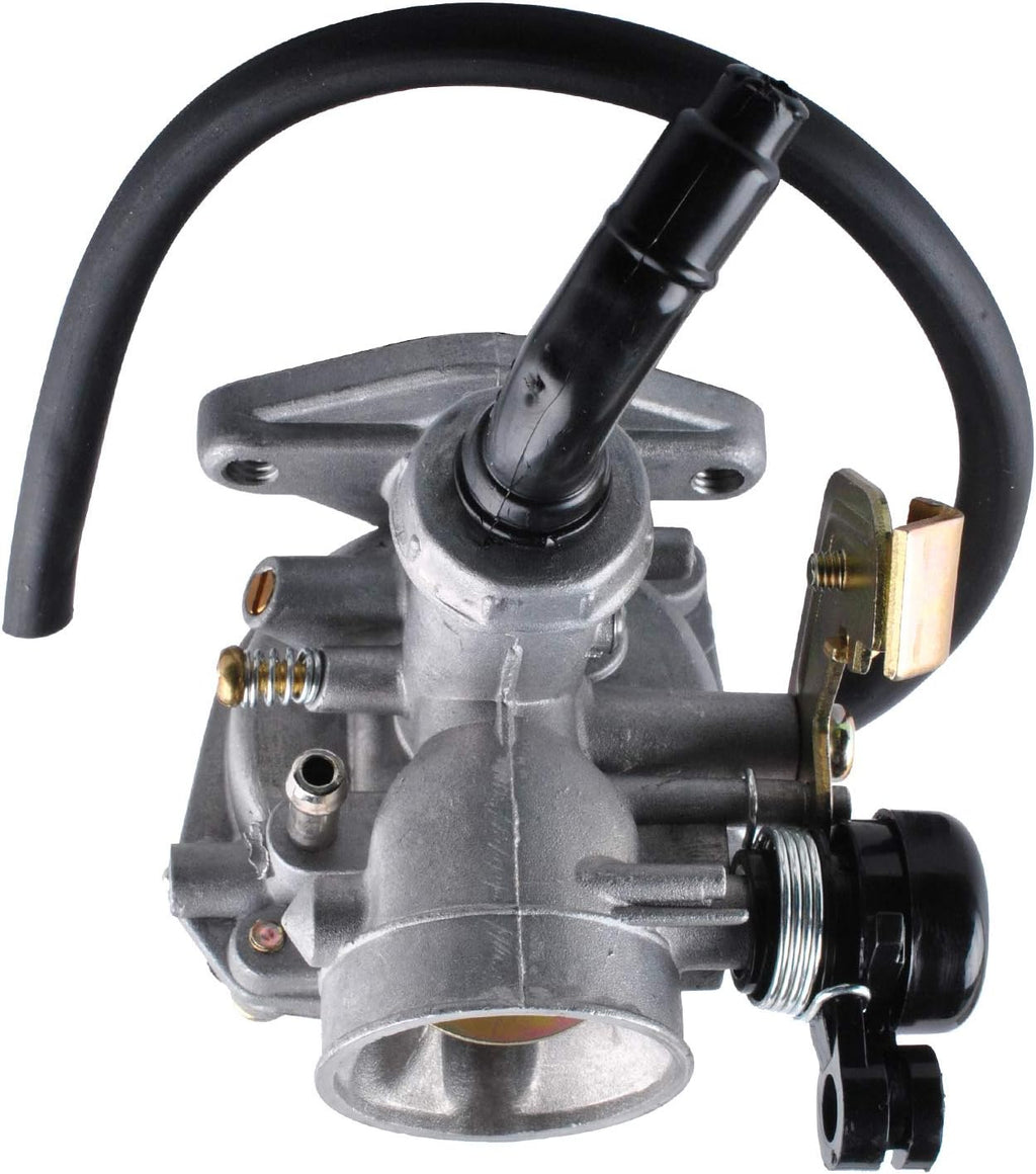 Carburetor with Fuel Filter Q801084