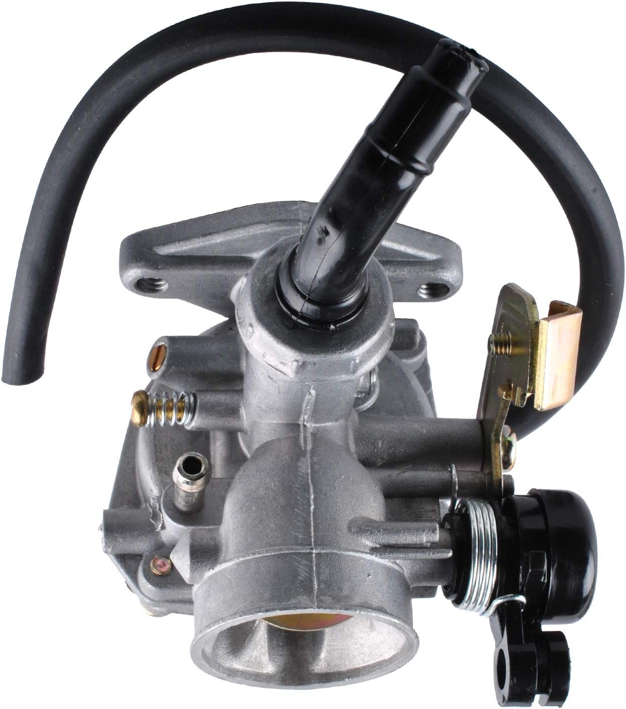 Carburetor with Fuel Filter Q801084