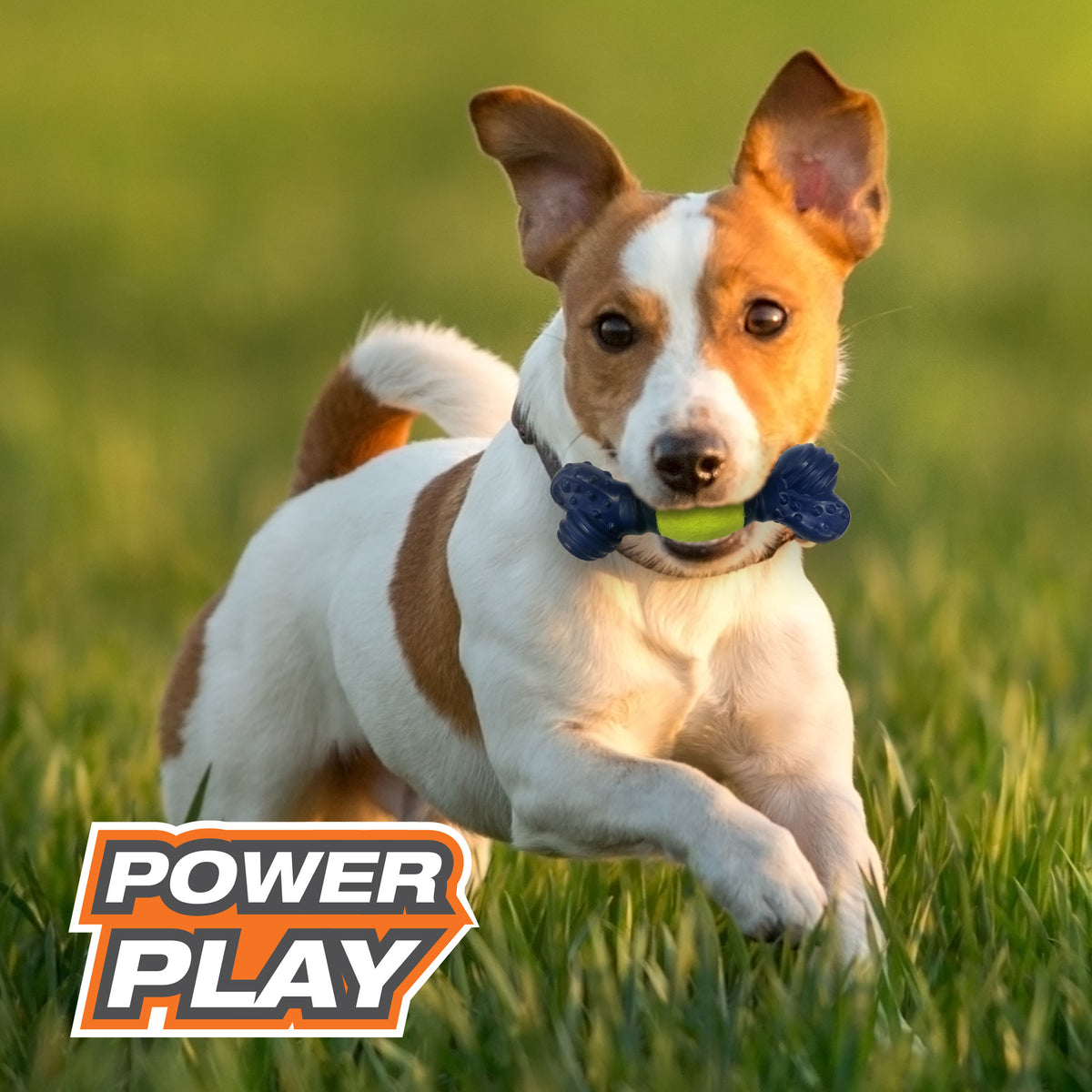 Tennis Play 'n Fetch Interactive Dog Toy K8707