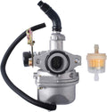 Carburetor with Fuel Filter Q801084
