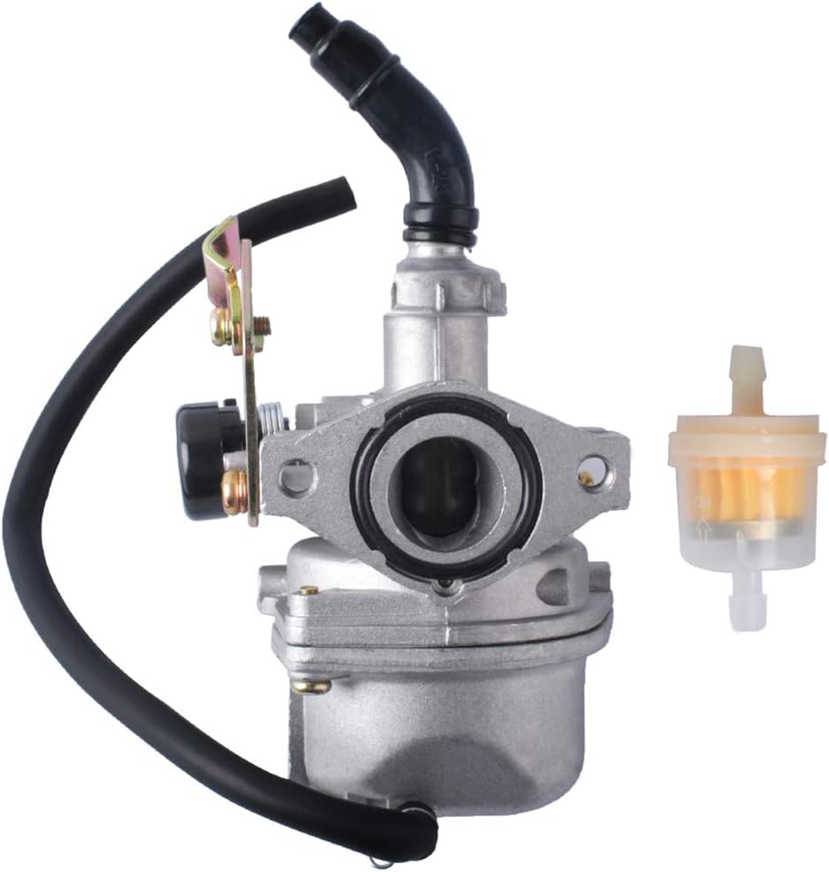 Carburetor with Fuel Filter Q801084