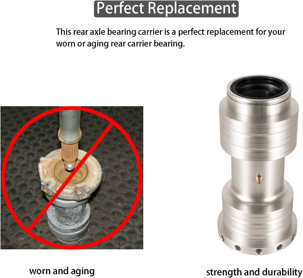Rear Axle Bearing Carrier D8689